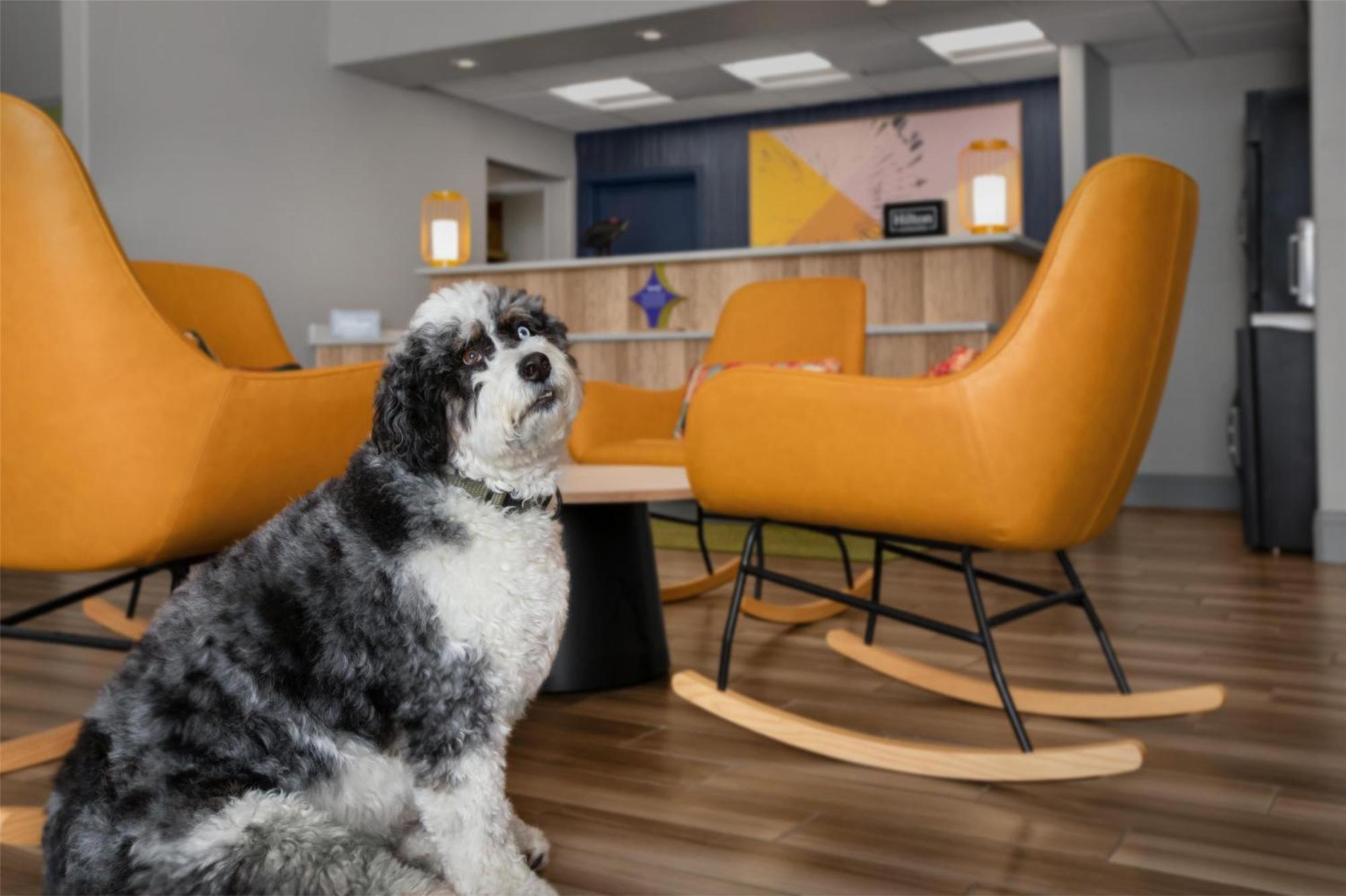 Spark By Hilton Albuquerque North I-25 Екстериор снимка